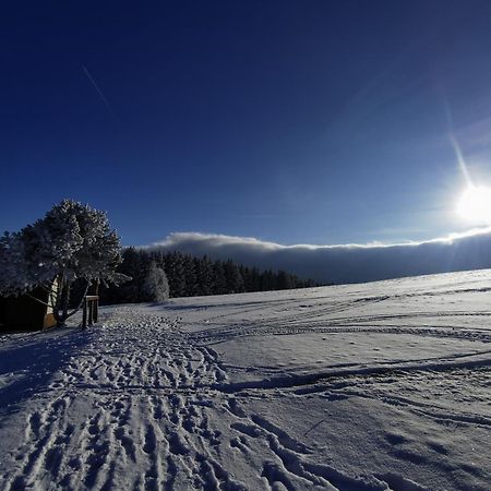Berghaus Am Felsbruch Oberwiesenthal Ot Hammerunterwiesenthal Extérieur photo
