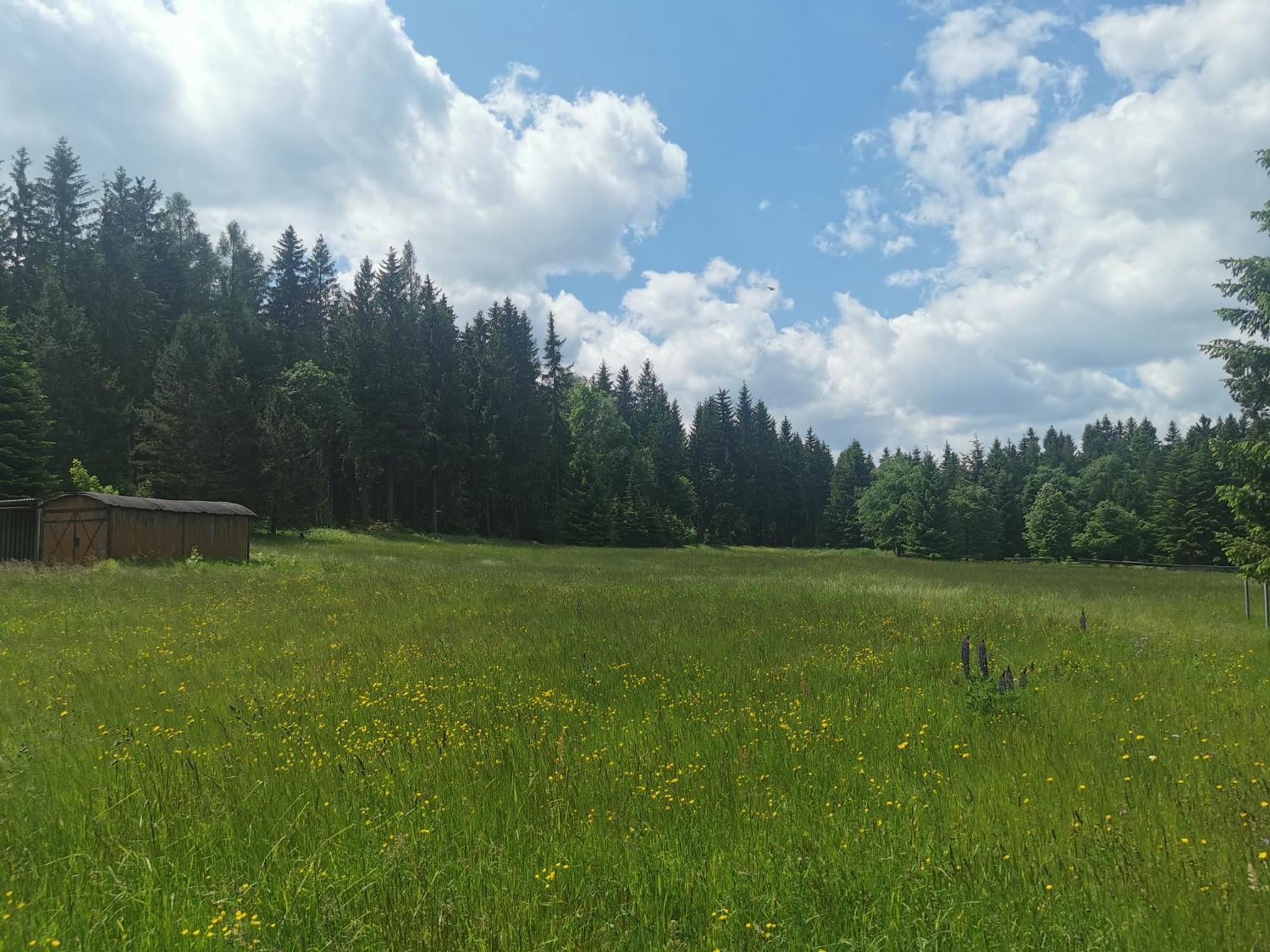 Berghaus Am Felsbruch Oberwiesenthal Ot Hammerunterwiesenthal Extérieur photo