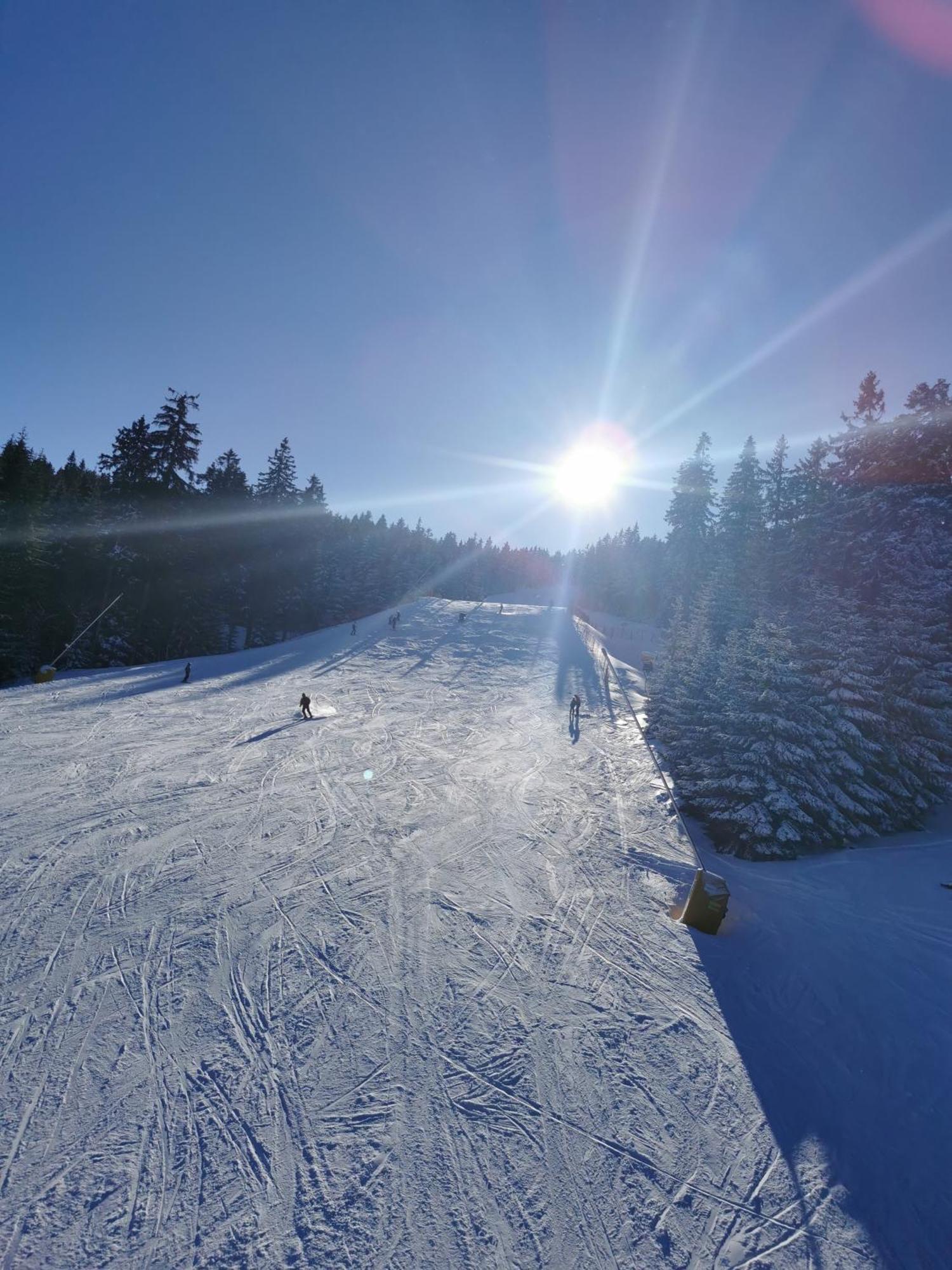 Berghaus Am Felsbruch Oberwiesenthal Ot Hammerunterwiesenthal Extérieur photo