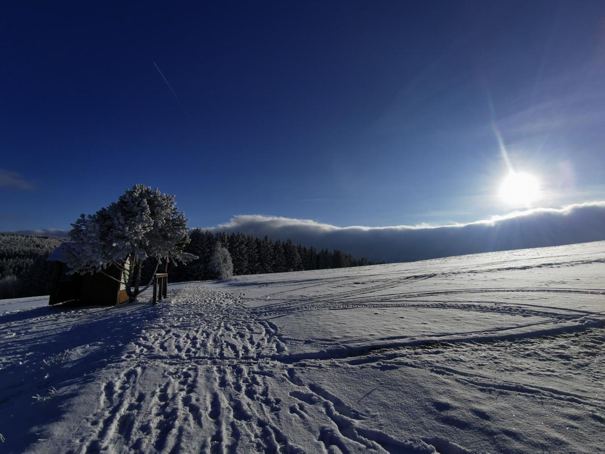 Berghaus Am Felsbruch Oberwiesenthal Ot Hammerunterwiesenthal Extérieur photo